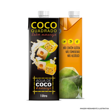 Suplemento Alimentar Coco Quadrado Maracujá Cx 12 x 1L